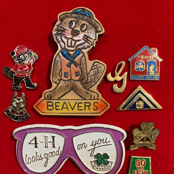 Lapel Pin Collect Lot Charm Keychain Craft DIY Repurpose Jewelry Supply Keepsake - Picture 2 of 8